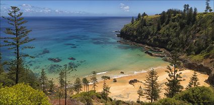 Anson Bay - Norfolk Island - NSW T (PBH4 00 12124)